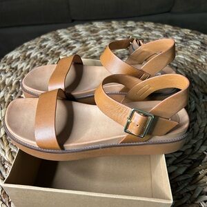 Steve Madden Brown Strappy Sandals with Buckle